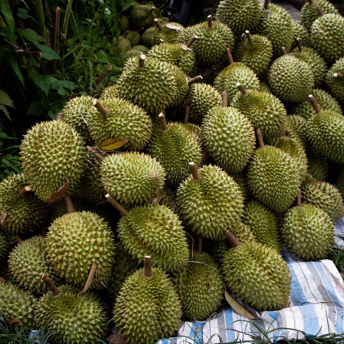 Produktbild 6