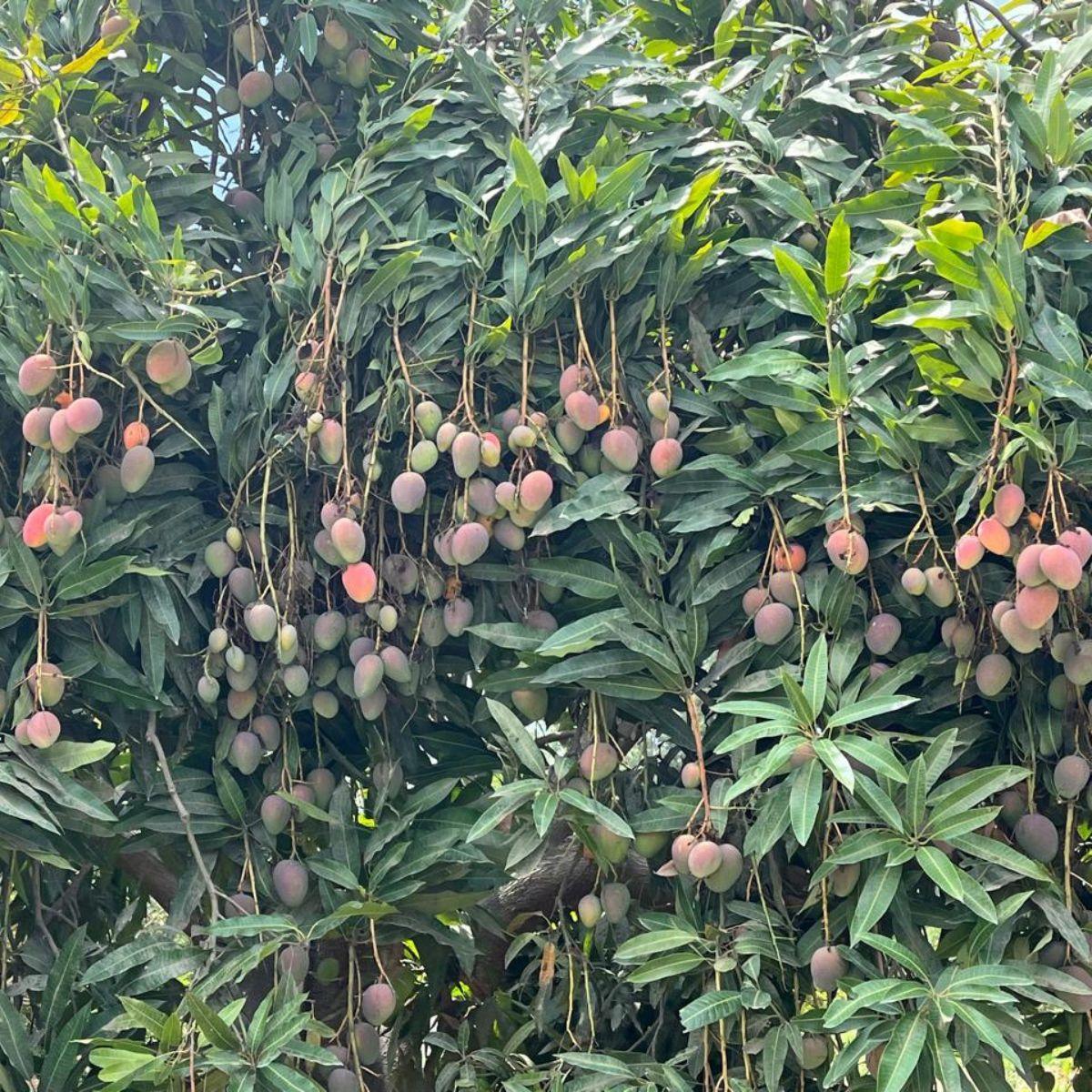 Produktbild 3