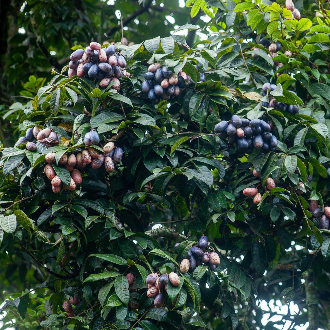 Produktbild 6